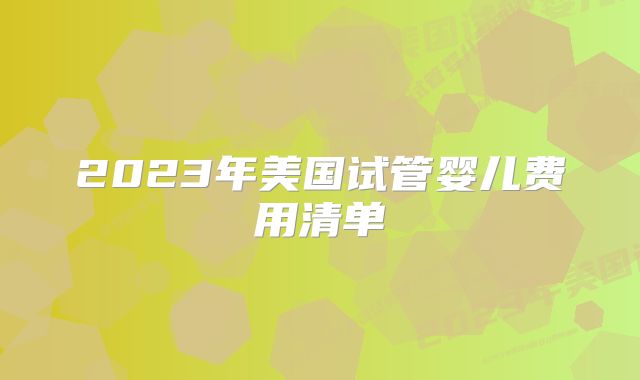 2023年美国试管婴儿费用清单