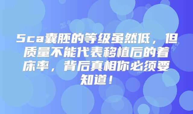 5ca囊胚的等级虽然低，但质量不能代表移植后的着床率，背后真相你必须要知道！