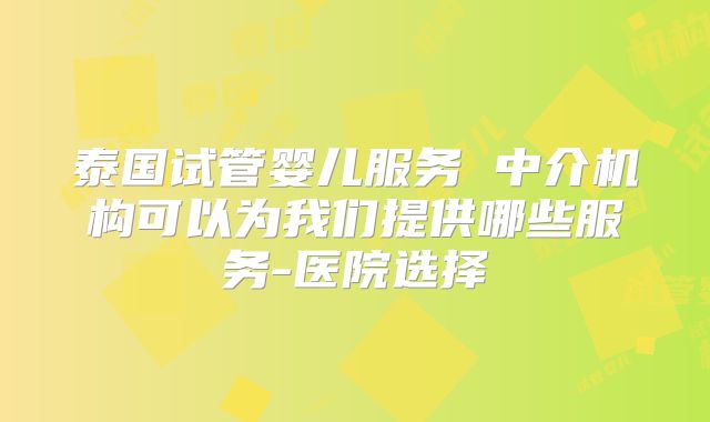 泰国试管婴儿服务 中介机构可以为我们提供哪些服务-医院选择