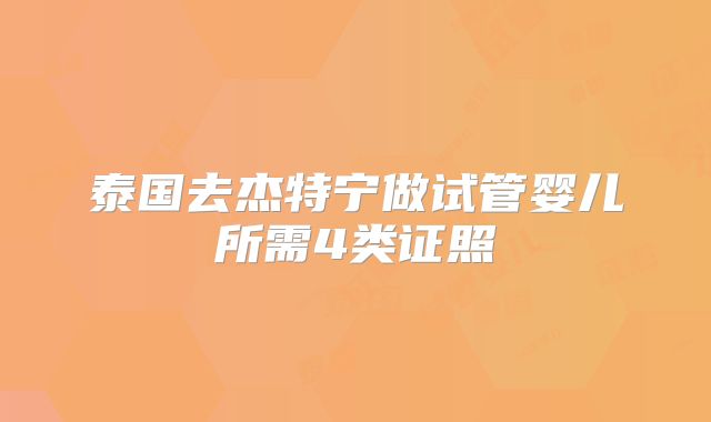 泰国去杰特宁做试管婴儿所需4类证照
