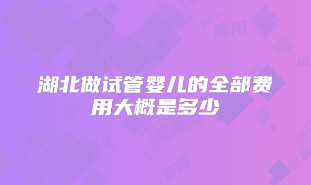 湖北做试管婴儿的全部费用大概是多少