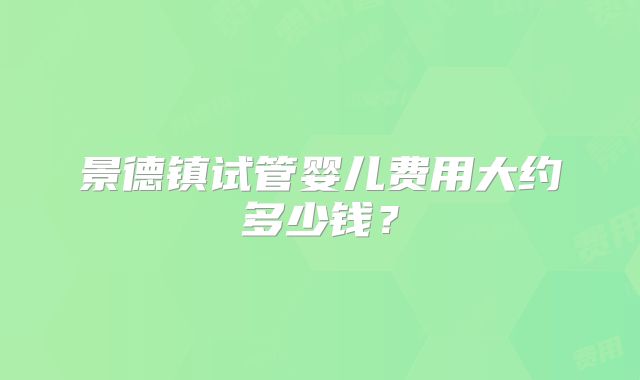 景德镇试管婴儿费用大约多少钱？