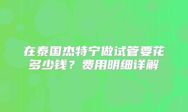 在泰国杰特宁做试管要花多少钱？费用明细详解