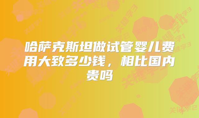 哈萨克斯坦做试管婴儿费用大致多少钱，相比国内贵吗