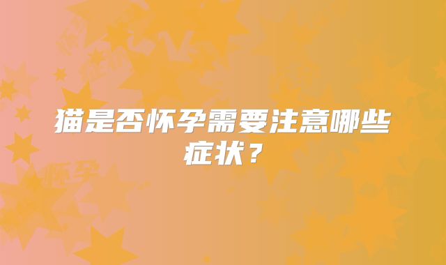 猫是否怀孕需要注意哪些症状？