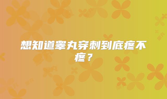 想知道睾丸穿刺到底疼不疼？