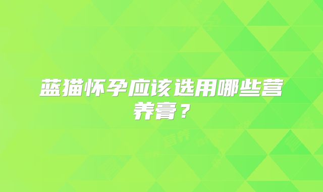 蓝猫怀孕应该选用哪些营养膏?