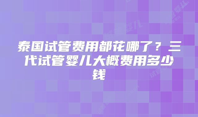 泰国试管费用都花哪了?三代试管婴儿大概费用多少钱