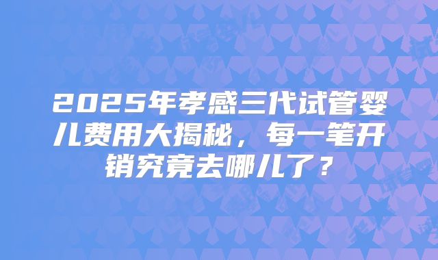 2025年孝感三代试管婴儿费用大揭秘，每一笔开销究竟去哪儿了？
