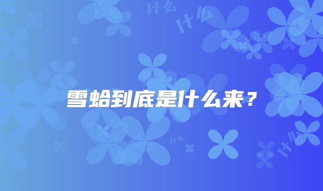 雪蛤到底是什么来？