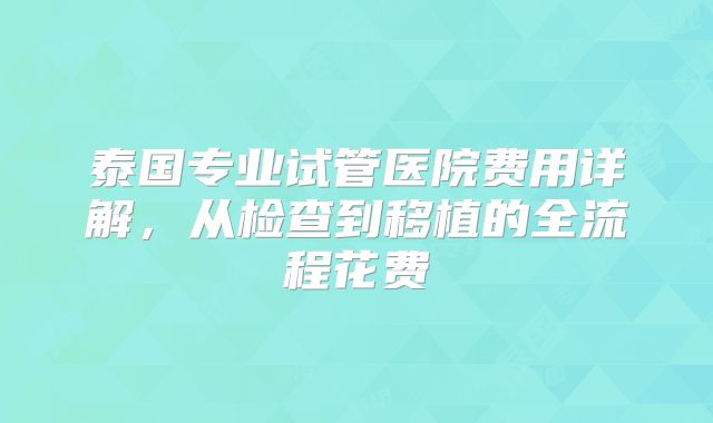 泰国专业试管医院费用详解，从检查到移植的全流程花费