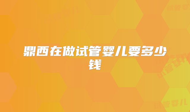 鼎西在做试管婴儿要多少钱