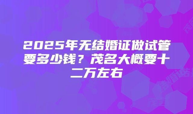 2025年无结婚证做试管要多少钱?茂名大概要十二万左右