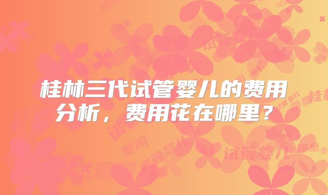 桂林三代试管婴儿的费用分析，费用花在哪里？