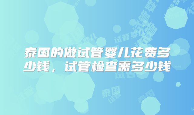 泰国的做试管婴儿花费多少钱,试管检查需多少钱