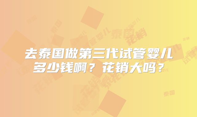 去泰国做第三代试管婴儿多少钱啊？花销大吗？