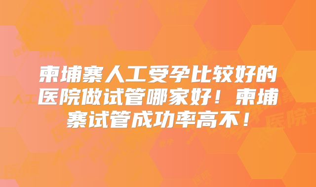 柬埔寨人工受孕比较好的医院做试管哪家好!柬埔寨试管成功率高不!