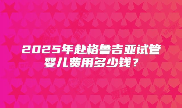 2025年赴格鲁吉亚试管婴儿费用多少钱？