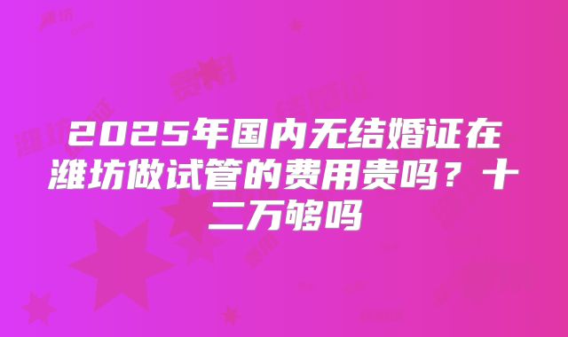 2025年国内无结婚证在潍坊做试管的费用贵吗?十二万够吗