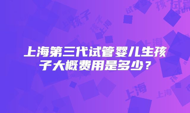 上海第三代试管婴儿生孩子大概费用是多少？