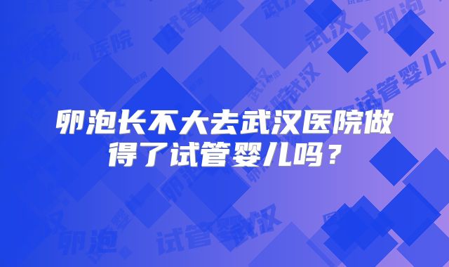 卵泡长不大去武汉医院做得了试管婴儿吗？