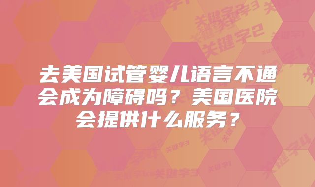 去美国试管婴儿语言不通会成为障碍吗?美国医院会提供什么服务?
