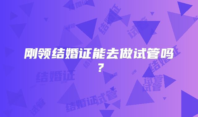 刚领结婚证能去做试管吗？