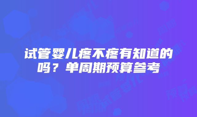 试管婴儿疼不疼有知道的吗？单周期预算参考