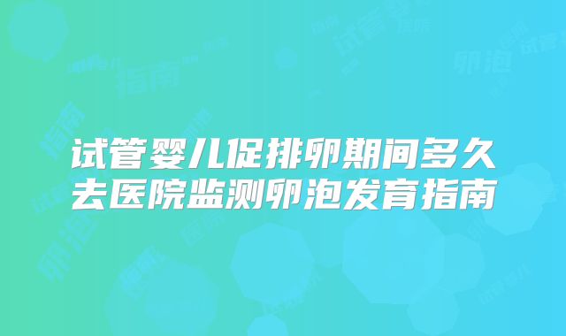 试管婴儿促排卵期间多久去医院监测卵泡发育指南