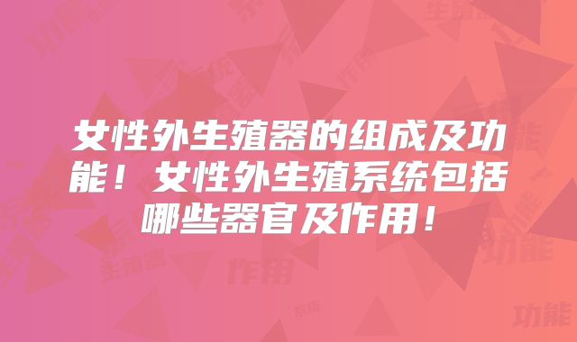 女性外生殖器的组成及功能！女性外生殖系统包括哪些器官及作用！