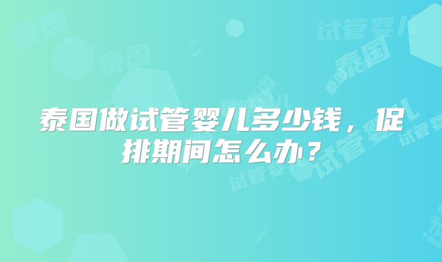 泰国做试管婴儿多少钱，促排期间怎么办？