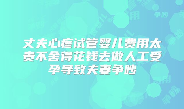 丈夫心疼试管婴儿费用太贵不舍得花钱去做人工受孕导致夫妻争吵