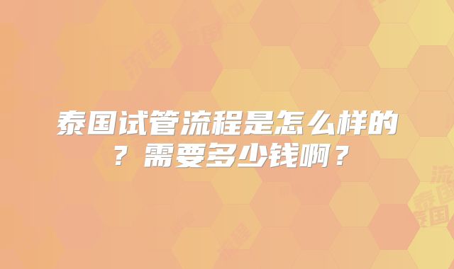 泰国试管流程是怎么样的？需要多少钱啊？