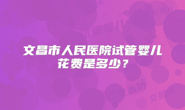 文昌市人民医院试管婴儿花费是多少？