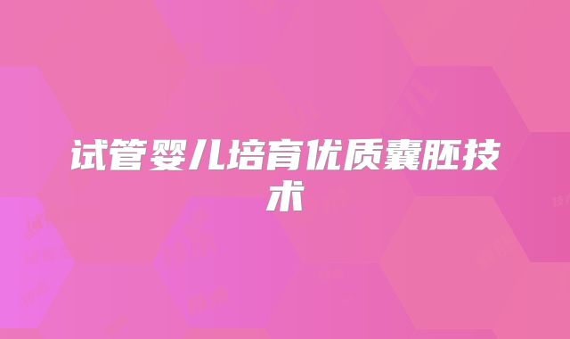 试管婴儿培育优质囊胚技术