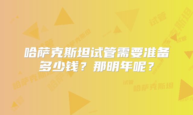 哈萨克斯坦试管需要准备多少钱?那明年呢?