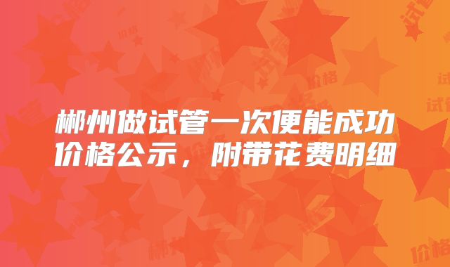 郴州做试管一次便能成功价格公示,附带花费明细