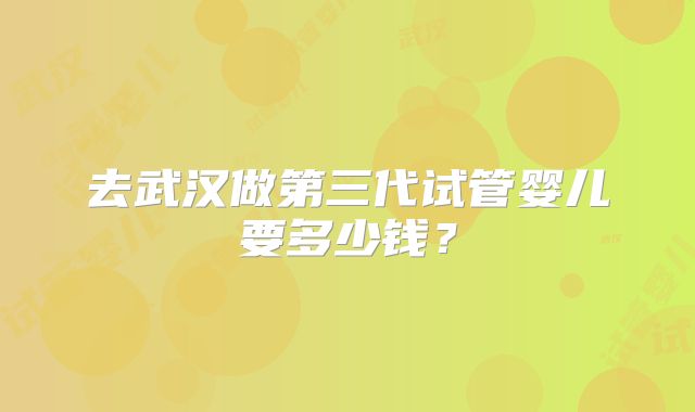 去武汉做第三代试管婴儿要多少钱？