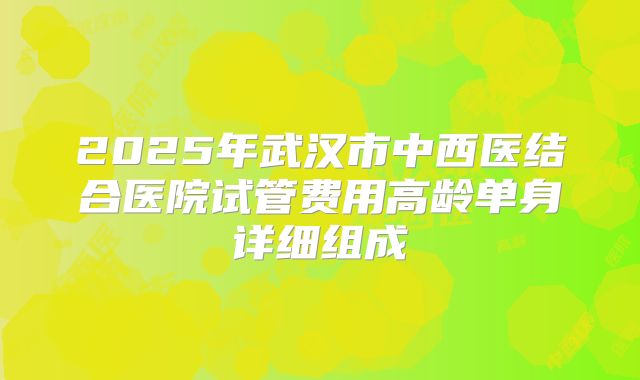 2025年武汉市中西医结合医院试管费用高龄单身详细组成