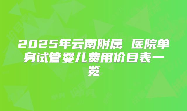 2025年云南附属 医院单身试管婴儿费用价目表一览