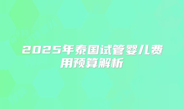 2025年泰国试管婴儿费用预算解析