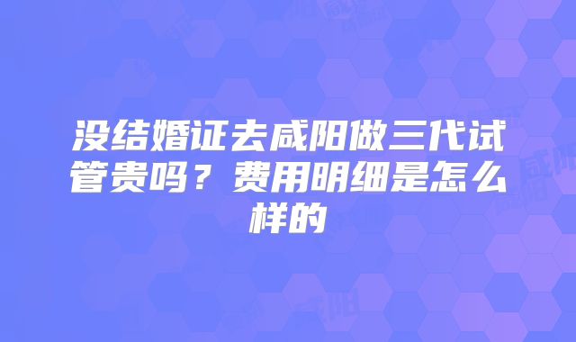 没结婚证去咸阳做三代试管贵吗?费用明细是怎么样的
