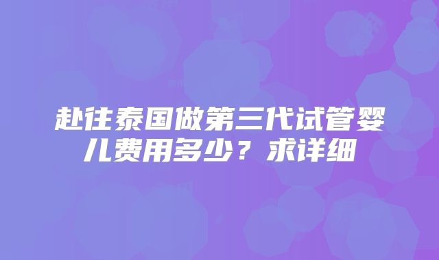 赴往泰国做第三代试管婴儿费用多少？求详细