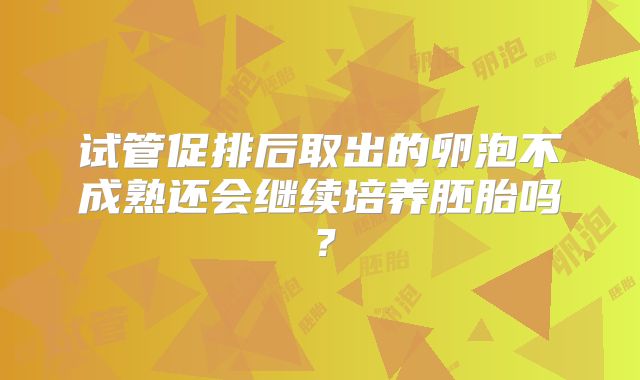 试管促排后取出的卵泡不成熟还会继续培养胚胎吗？