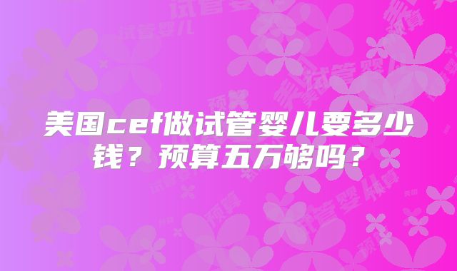 美国cef做试管婴儿要多少钱？预算五万够吗？
