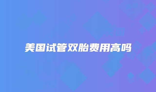 美国试管双胎费用高吗