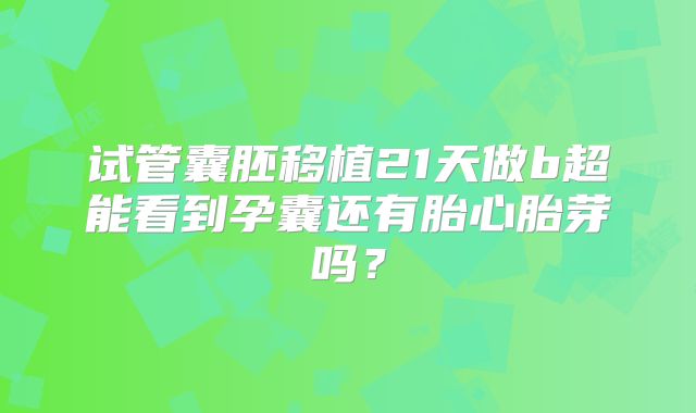 试管囊胚移植21天做b超能看到孕囊还有胎心胎芽吗?