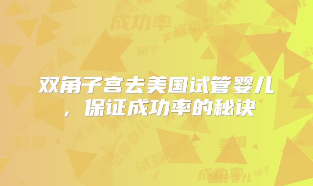 双角子宫去美国试管婴儿，保证成功率的秘诀