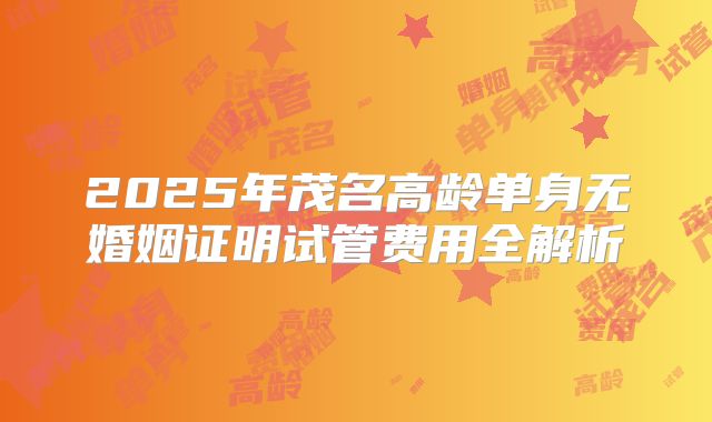 2025年茂名高龄单身无婚姻证明试管费用全解析