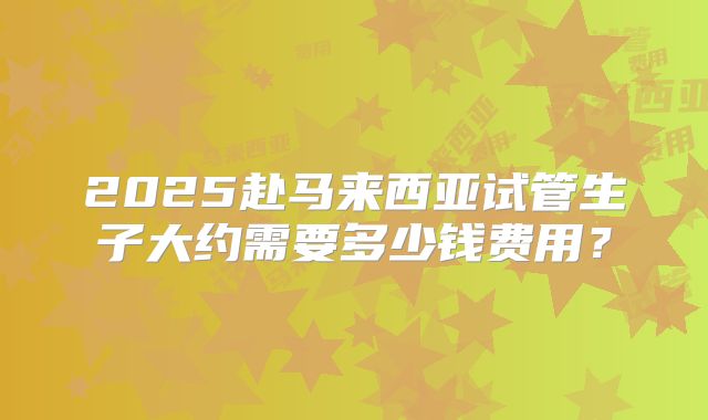 2025赴马来西亚试管生子大约需要多少钱费用？